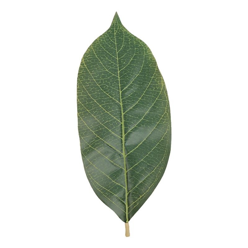 Home Decor Catalog - Sztuczne zielone liście magnolii opakowanie 50